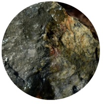 Калишпатизированный граносиенит пересекается с рудной жилой