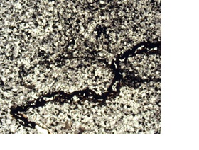 Метаалевролит с прожилками гидроксидов железа