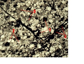 Железистый карбонат в виде вкраплений и по трещинам в метапесчанике